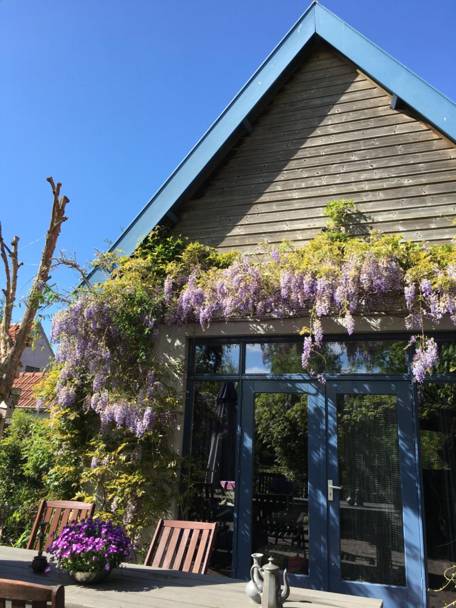 莲花住宿加早餐旅馆 胡弗拉肯 外观 照片