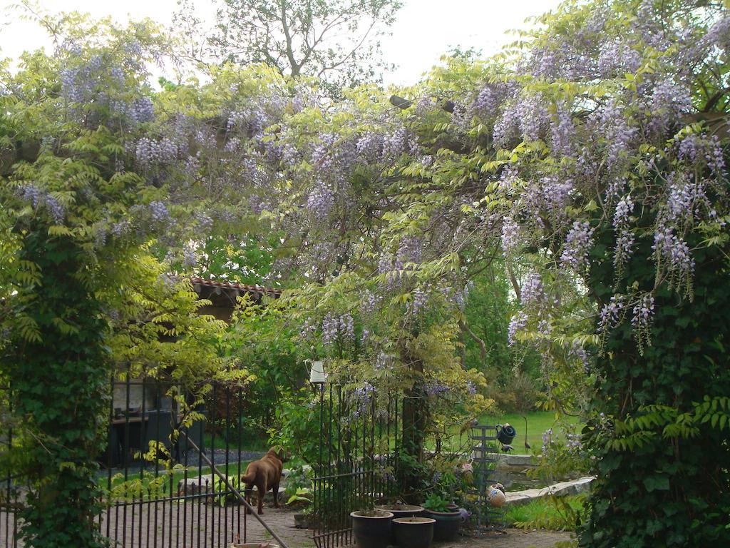 莲花住宿加早餐旅馆 胡弗拉肯 外观 照片
