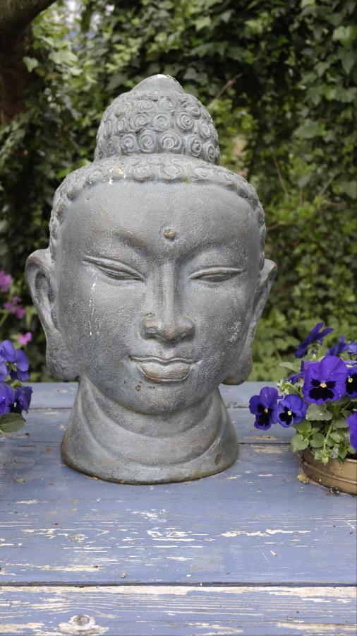 莲花住宿加早餐旅馆 胡弗拉肯 客房 照片